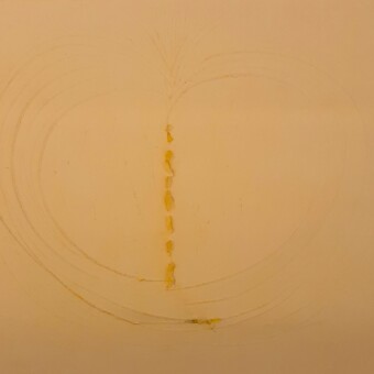 fontana1